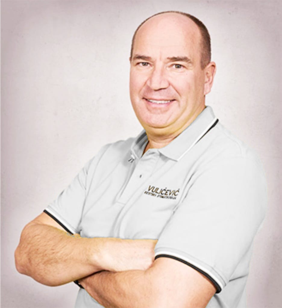 Prof. dr Zoran Vulićević